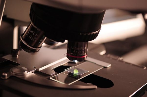microscope-385364__480